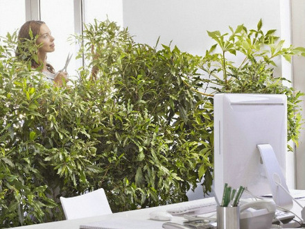 �ߣ�����԰�ϰ࣡