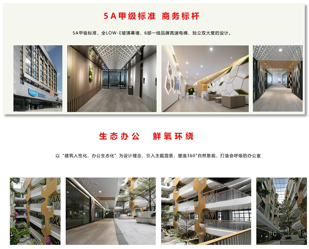 js1996(�й�)���޹�˾