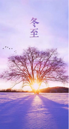 js1996(�й�)���޹�˾