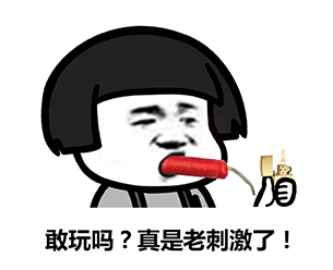 js1996(�й�)���޹�˾