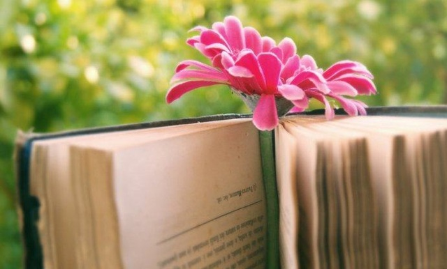 厉害!番禺100万人都在关注这间“共享书吧”(图9) 厉害!番禺100万人都在关注这间“共享书吧”(图9)