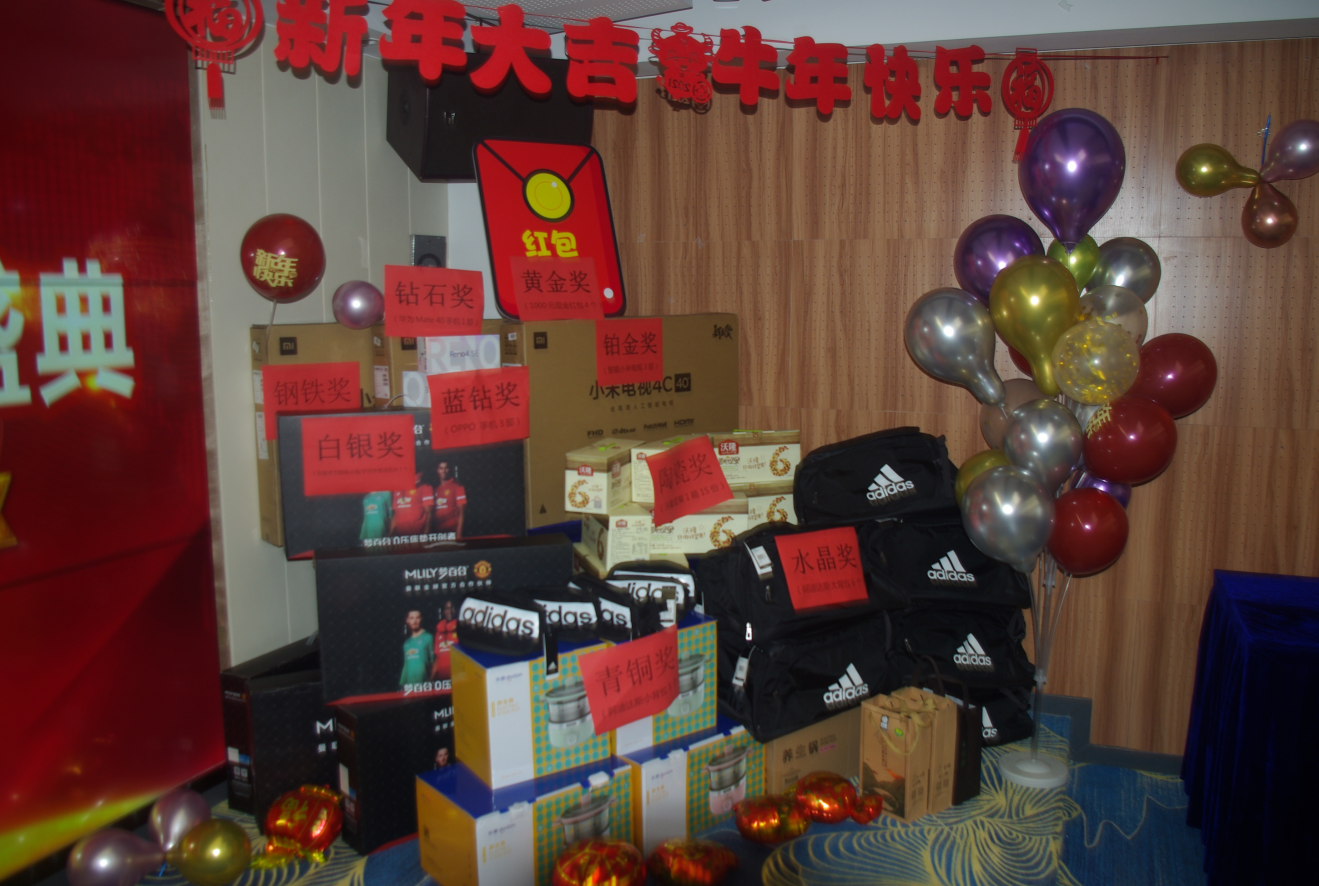 js1996(�й�)���޹�˾