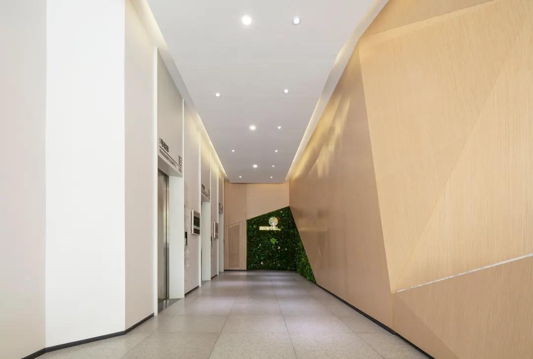 js1996(�й�)���޹�˾