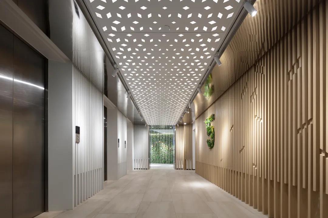 js1996(�й�)���޹�˾