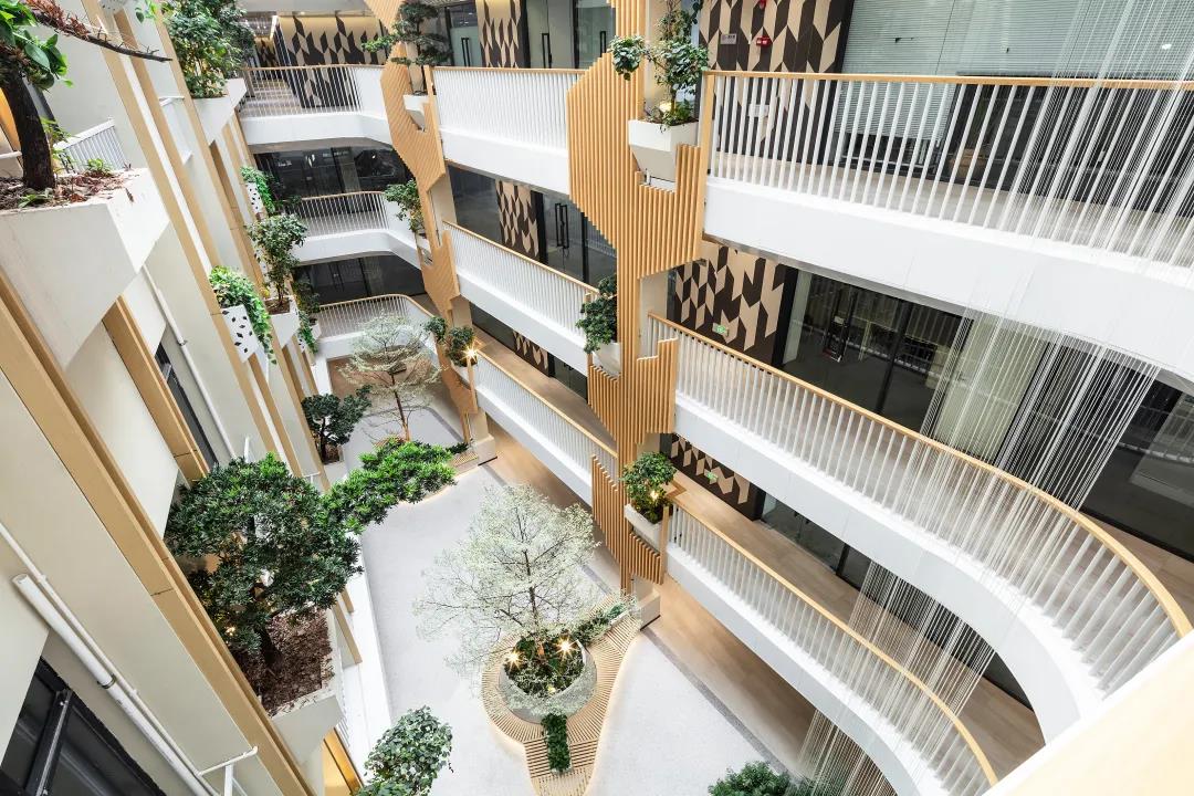 js1996(�й�)���޹�˾