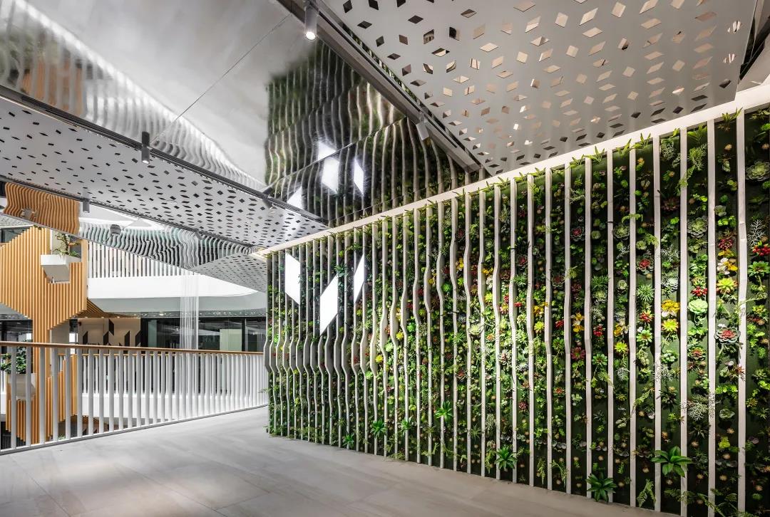 js1996(�й�)���޹�˾