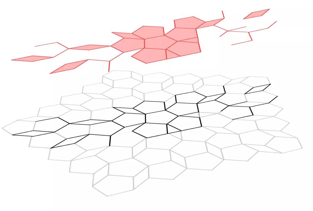 js1996(�й�)���޹�˾