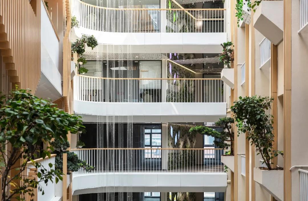 js1996(�й�)���޹�˾