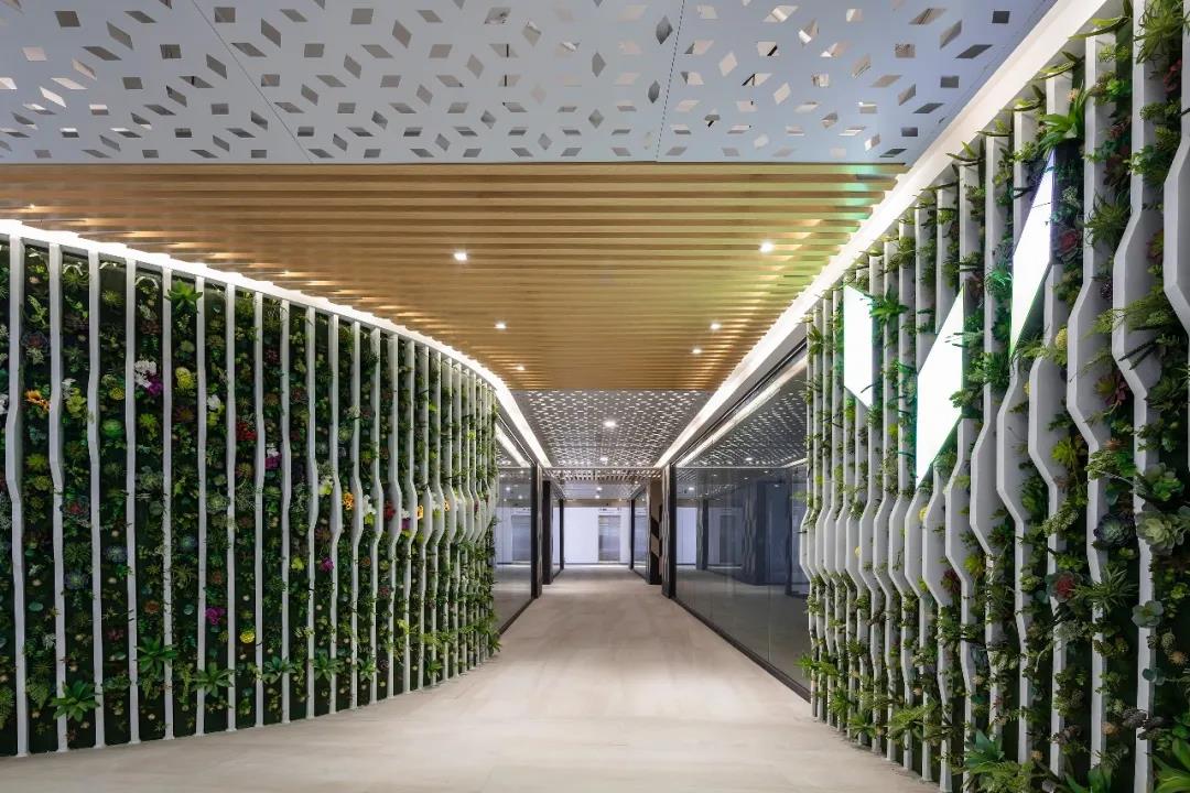 js1996(�й�)���޹�˾