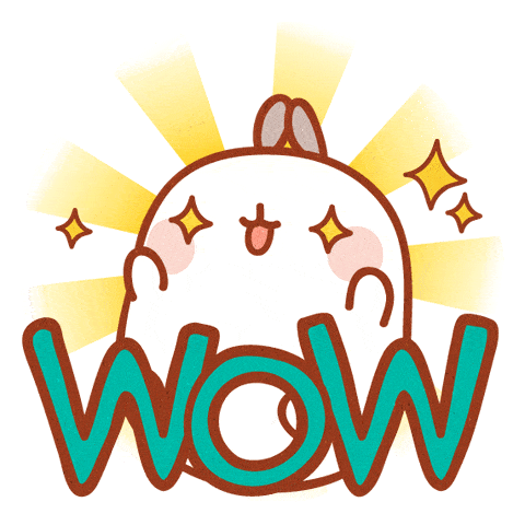 js1996(�й�)���޹�˾