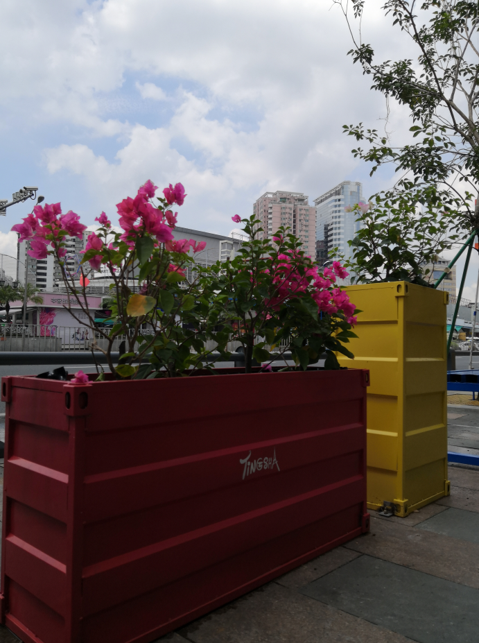 js1996(�й�)���޹�˾