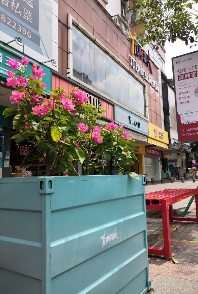 js1996(�й�)���޹�˾