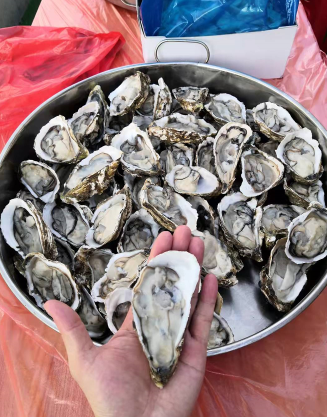 �����������Ž����㲻ϲ�����ѣ�(ͼ24)